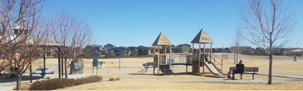 Photo of a park with playground equipment: the playground has a slide and stairs. The sky is blue and there are trees and some shrubs. There is also a park bench.